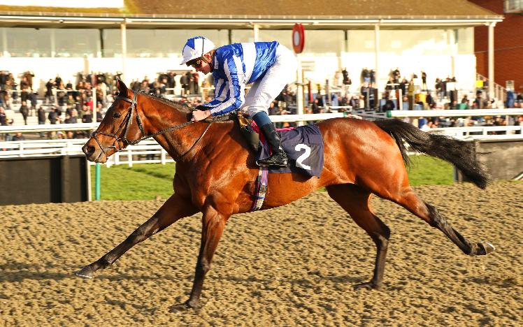 Bangkok winning at Lingfield Park