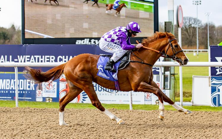 Mums Tipple wins the 2021 Bombardier Lady Wulfruna Stakes at Wolverhampton Racecourse