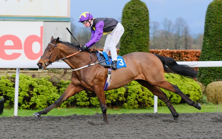 Rainbow Dreamer at Kempton Park