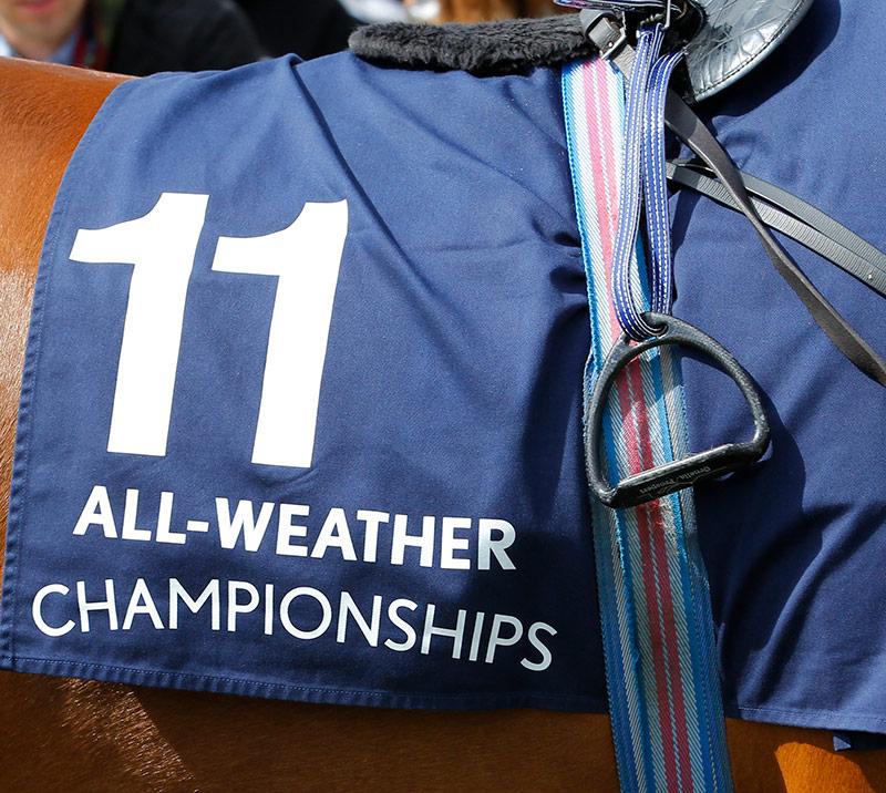 horse wearing number 11