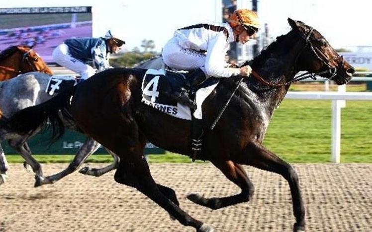 Jockeys racing at Cagnes-sur-Mer in the south of France.