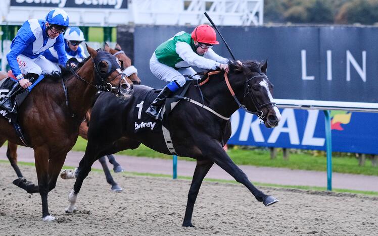 Pyledriver delivers in Betway Churchill Stakes