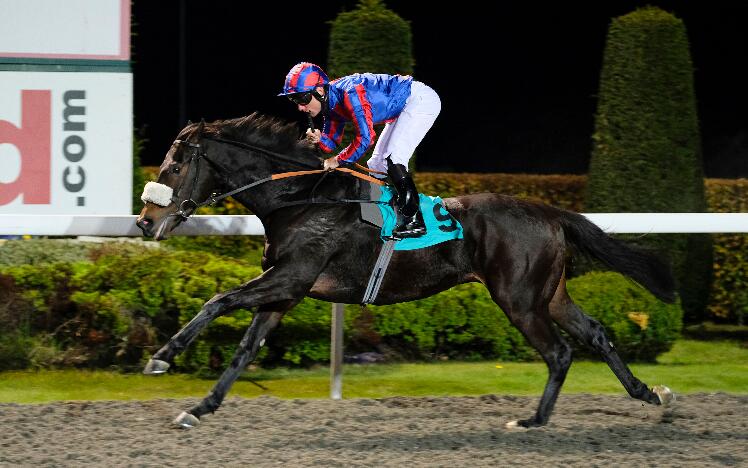 Prince of Arran wins at Kempton Park in November 2016