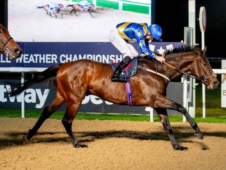 Aircraft Carrier winning the  Betway Marathon at Wolverhampton