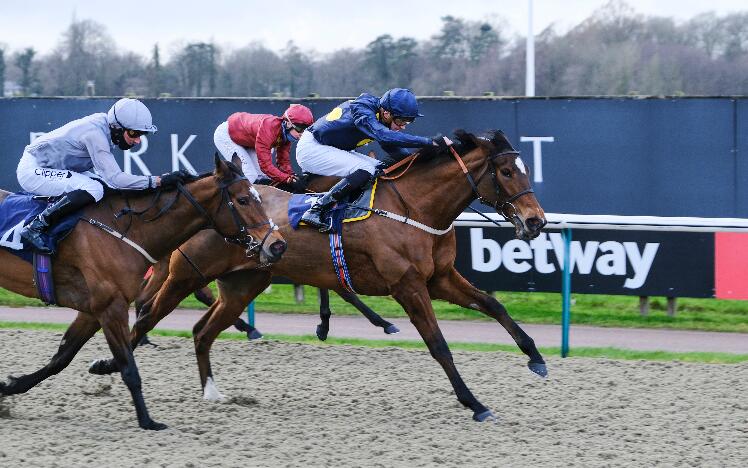 Shimmering Dawn wins at Lingfield Park