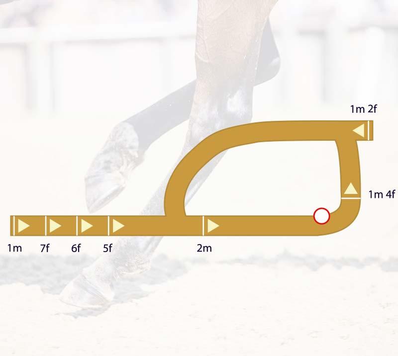 Graphic showing the Newcastle Racecourse track with distance markers on.