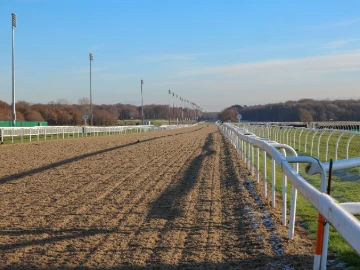 Newcastle2022generic