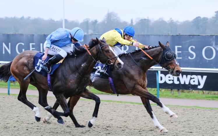 Dubai Warrior & Regal Reality - Quebec Stakes at Lingfield Park 