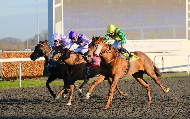 Kondratiev Wave wins at Kempton Park