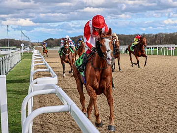 BerkshireSundance030426