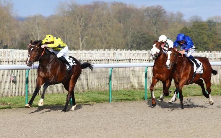 We Go at Chantilly Hippodrome 