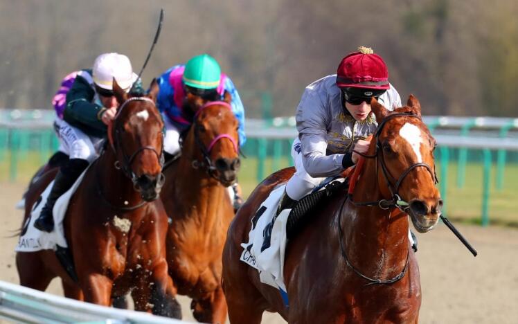 DUHAIL wins the 2021 Prix Anabaa at Chantilly