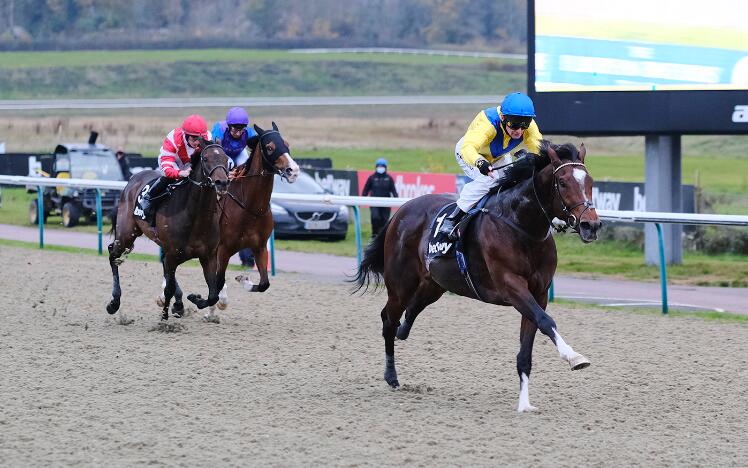 Dubai Warrior wins the Betway Churchill Stakes at Lingfield Park