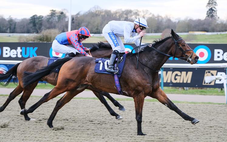 One Night Stand winning at Lingfield Park