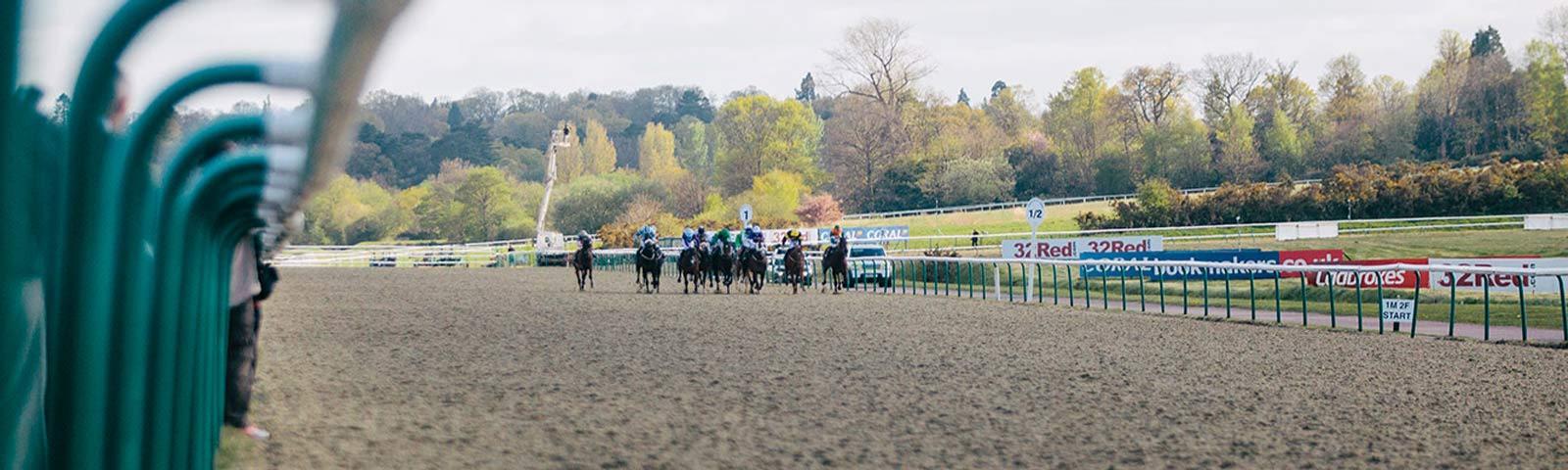 Group of jockeys racing in the distance.