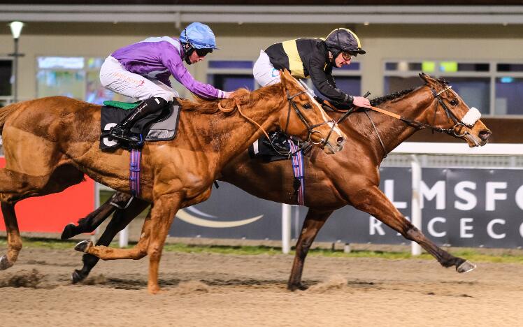 Ranch Hand wins at Chelmsford City Racecourse