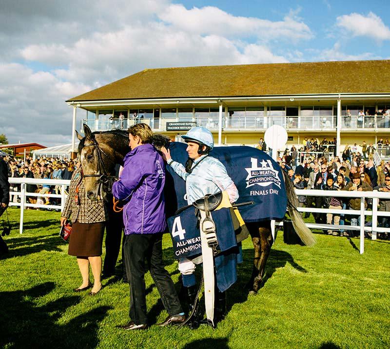 Horse with dismounted jockey and trainers