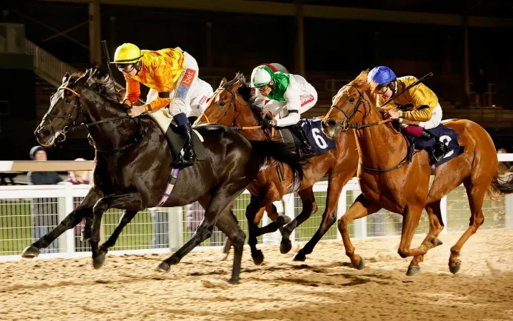 FirstPrinciple311025