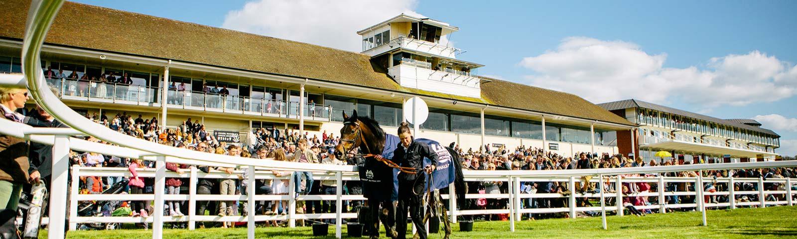 Horse being led through parade ring with crowds watching in the background.