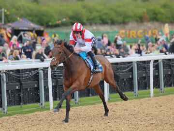 Wonder Legend 180425