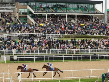 AWFinalsDay2023 generic